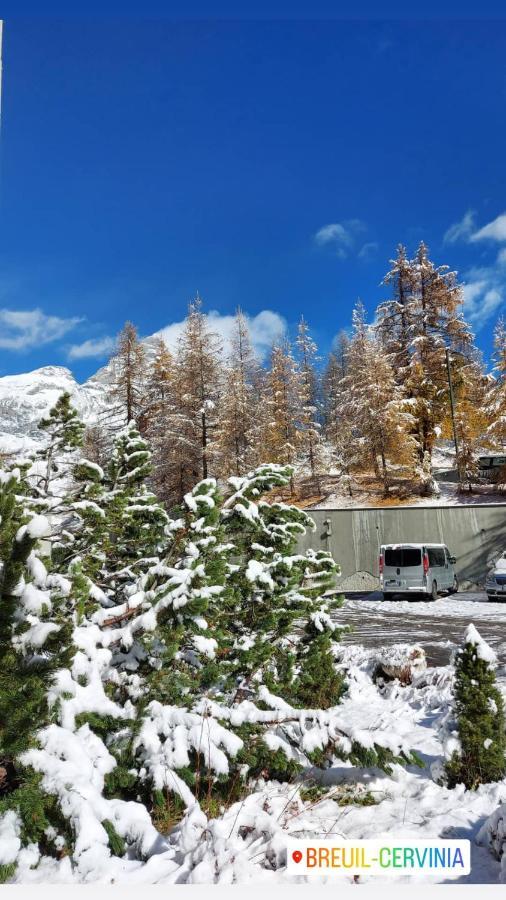Appartement Le Petit Refuge Cervinia à Breuil-Cervinia Extérieur photo